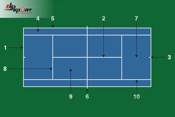 Ý Nghĩa Sân Tennis Và Kích Thước Sân Thi Đấu Chuyên Nghiệp